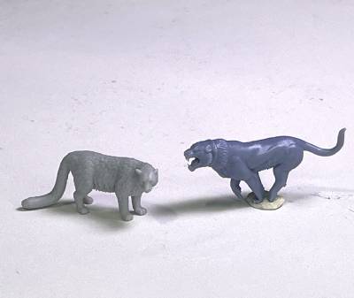 Tiger & Snow Leopard